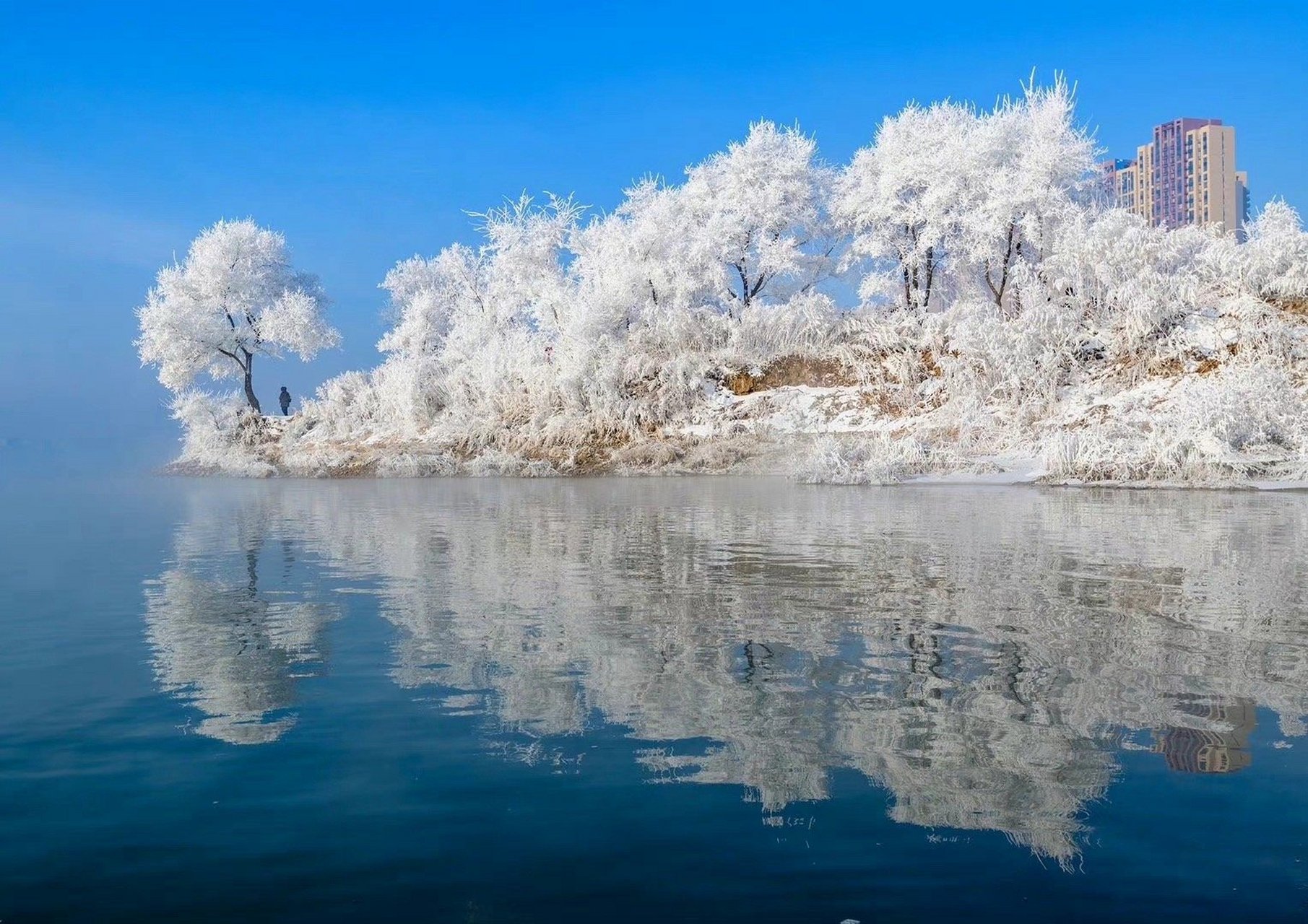 吉林之光,高科技产品照亮未来,科技与生活共舞