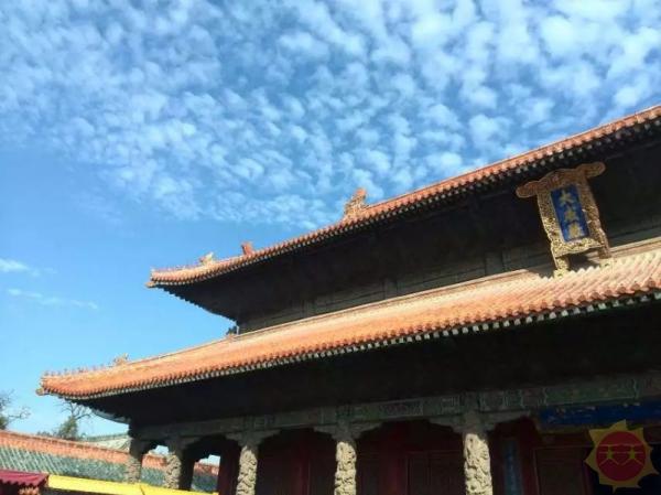 山东，历史文化瑰宝与经济发展前沿的交汇之地